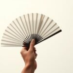 Abanicos en Estilo Minimalista